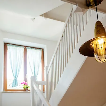 Dorfliebe 게스트하우스 손더스하우젠